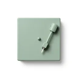 Phonograph needle