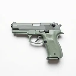 Pistol grip