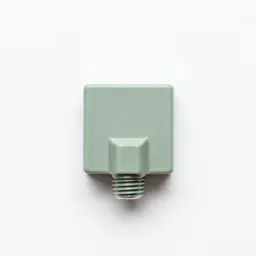 Plug fuse