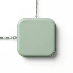 Pull chain