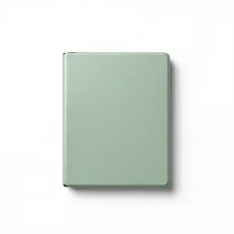 Removable disk
