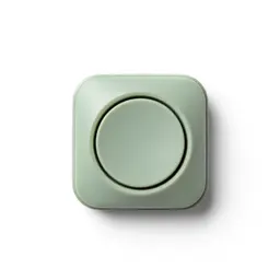Reset button
