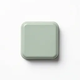 Resistor