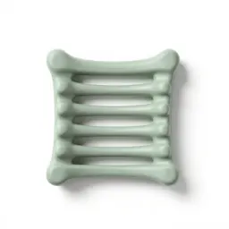 Rib