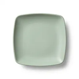 Rider plate