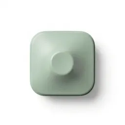 Satellite