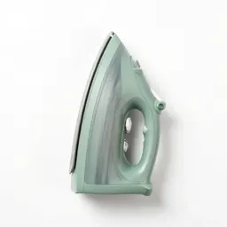 Searing iron
