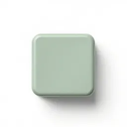 Shellac