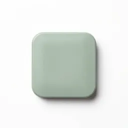 Signet