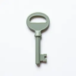 Skeleton key