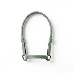 Snaffle