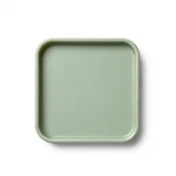 Snare