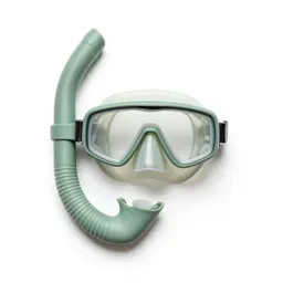 Snorkel