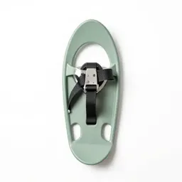 Snowshoe