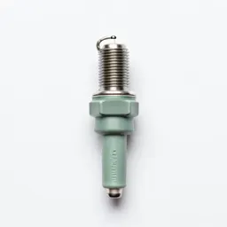 Spark plug