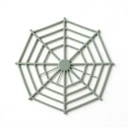 Spider web