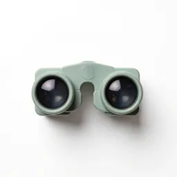 Stereoscope