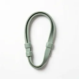 Strap