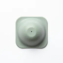 Suction cup