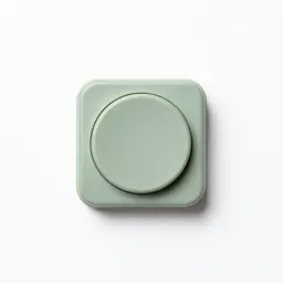 Switch
