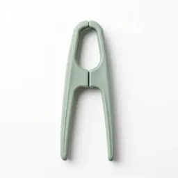Ice tongs