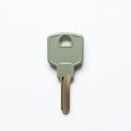 Ignition key