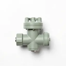 Intake valve