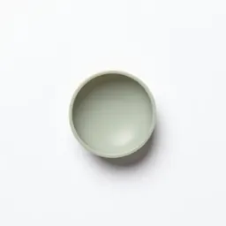 Intraocular lens