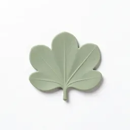 Bracteole