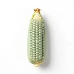 Cornhusk