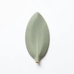 Silicle
