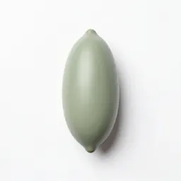 Silique
