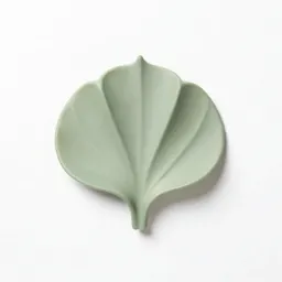 Spathe