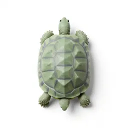 Testudo