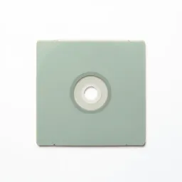 Videodisk