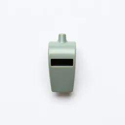 Whistle