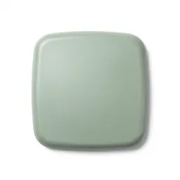 Windshield
