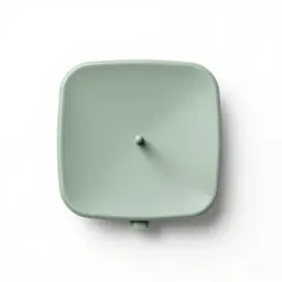 Yagi