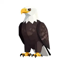 Bald eagle