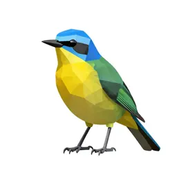 Barbet