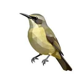 Bellbird
