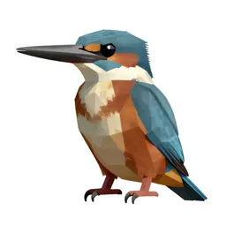 Belted kingfisher