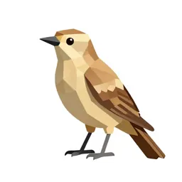Bird of passage