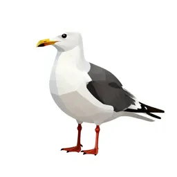 Black-backed gull