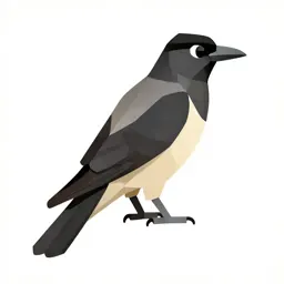 Black-billed cuckoo