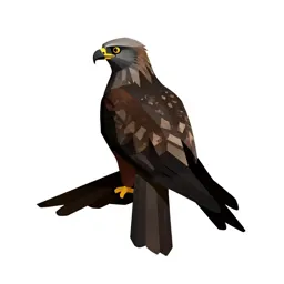 Black kite