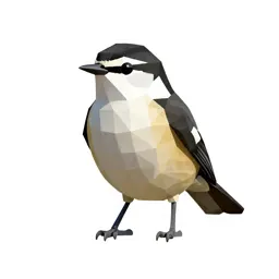 Blackpoll