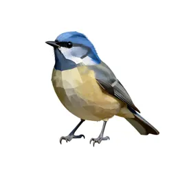 Blue-headed vireo