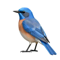 Blue mockingbird