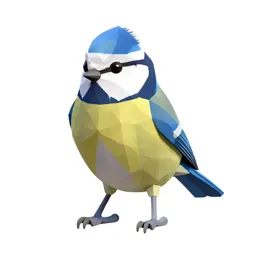 Blue tit